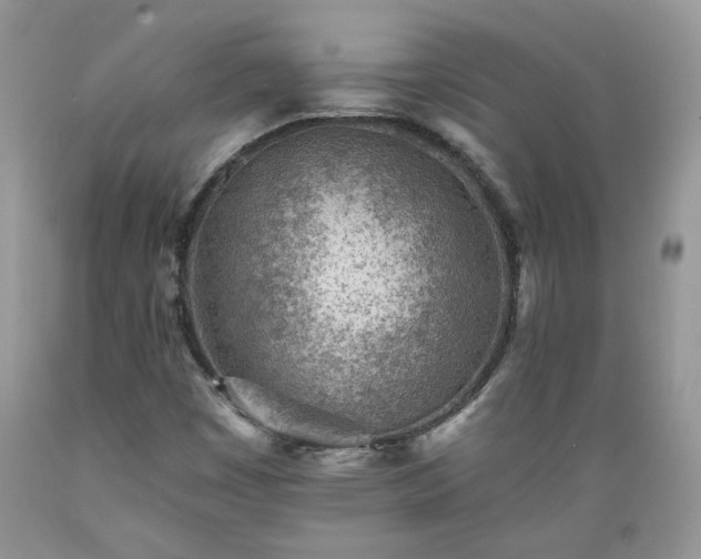X0000089381449200706221243