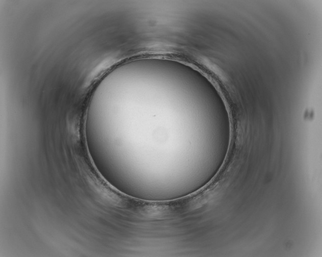 X0000089381451200706221243