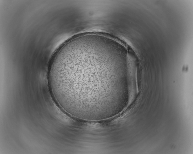 X0000089381452200706221243