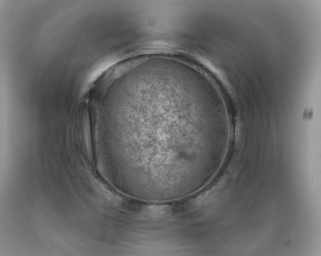 X0000089381453200706221243