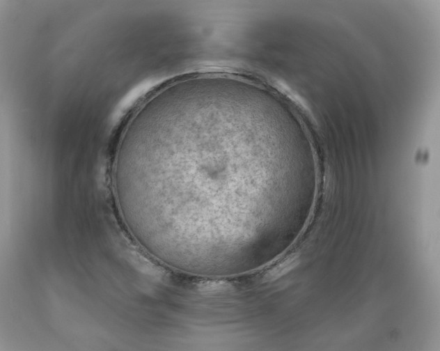 X0000089381454200706221243