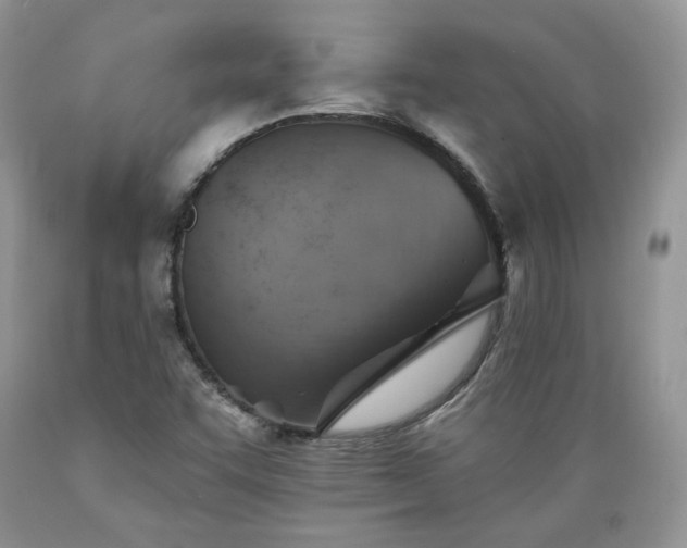 X0000089381455200706221243