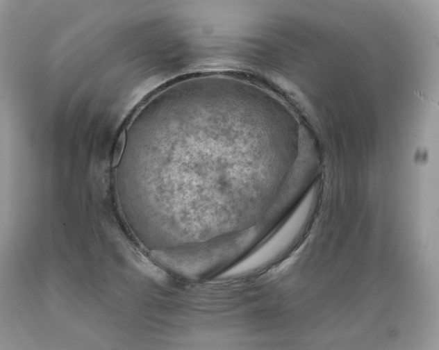 X0000089381457200706221243