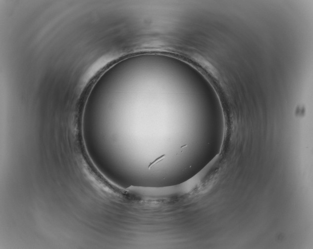X0000089381458200706221243