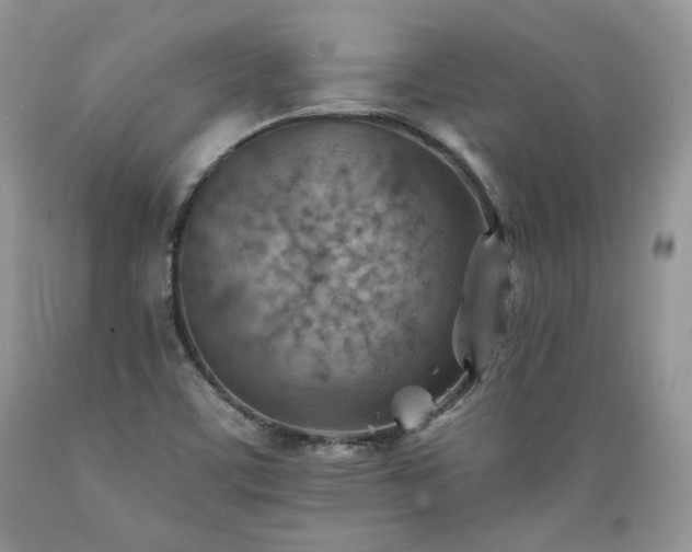 X0000089381459200706221243