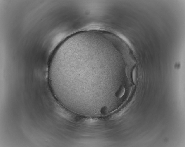 X0000089381461200706221243