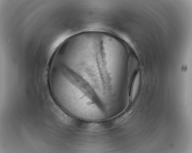 X0000089381463200706221243