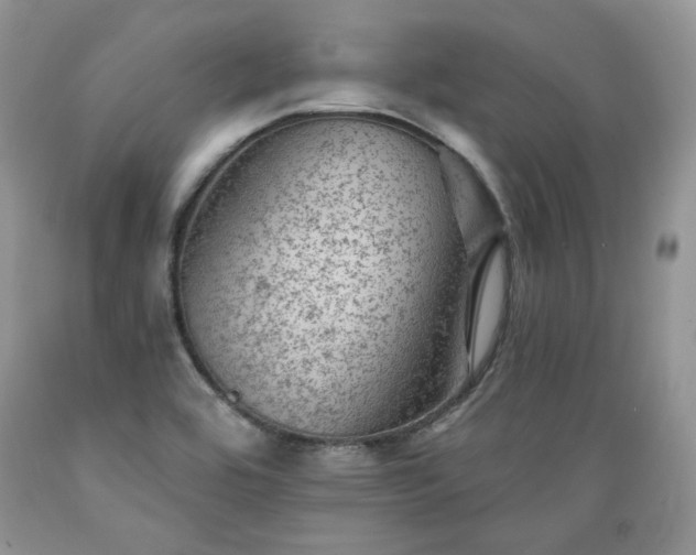 X0000089381464200706221243