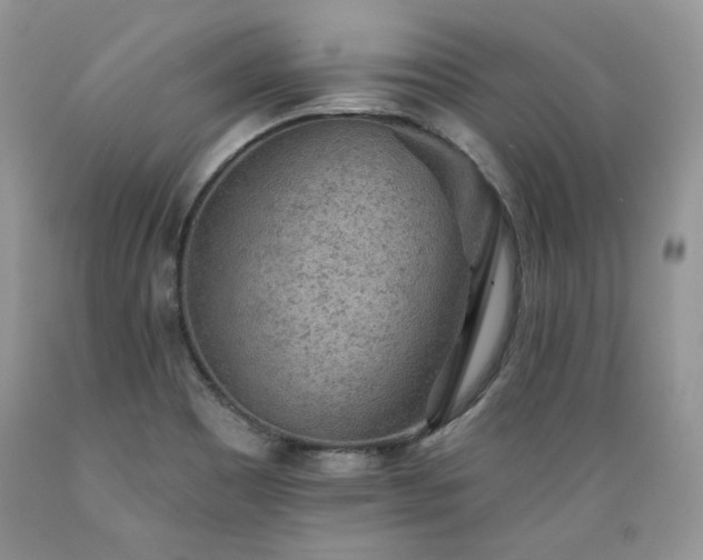 X0000089381465200706221242