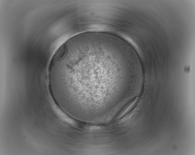 X0000089381467200706221242