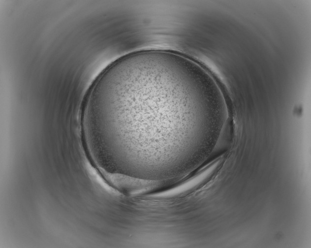 X0000089381468200706221242