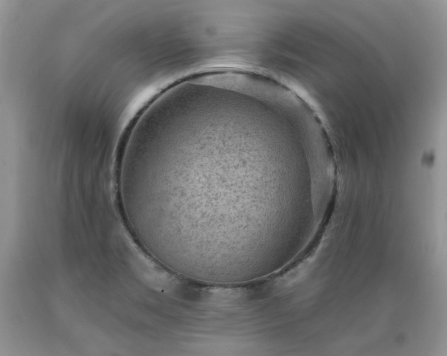 X0000089381469200706221242