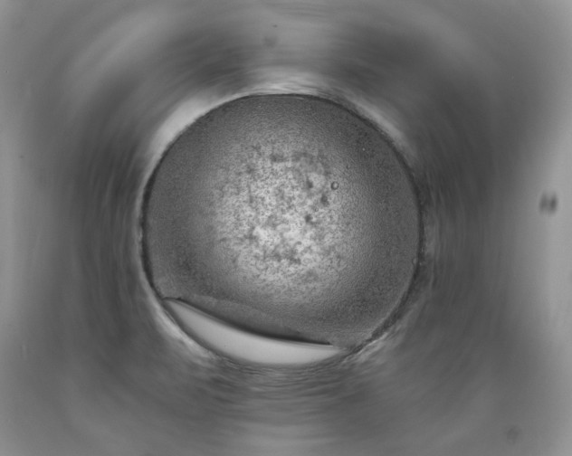 X0000089381471200706221242