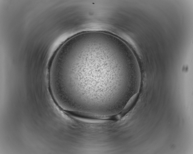 X0000089381472200706221242