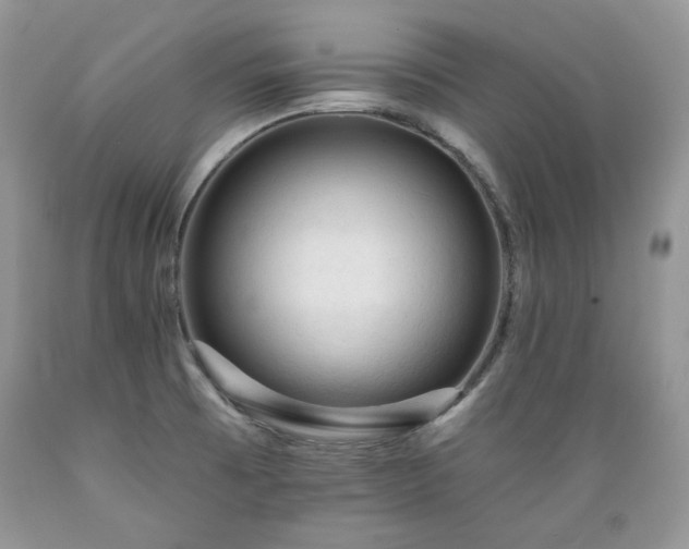X0000089381473200706221242