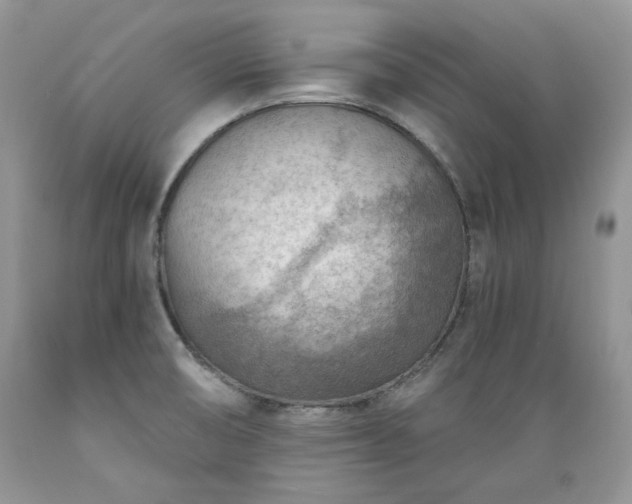 X0000089381474200706221242