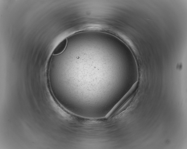 X0000089381475200706221242