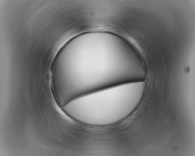 X0000089381476200706221242