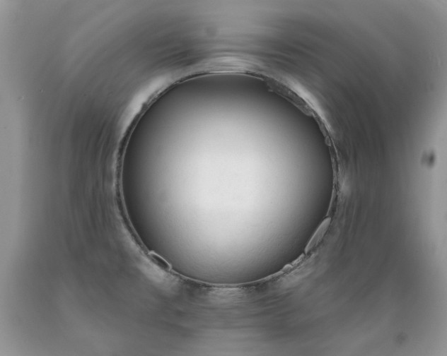 X0000089381477200706221242