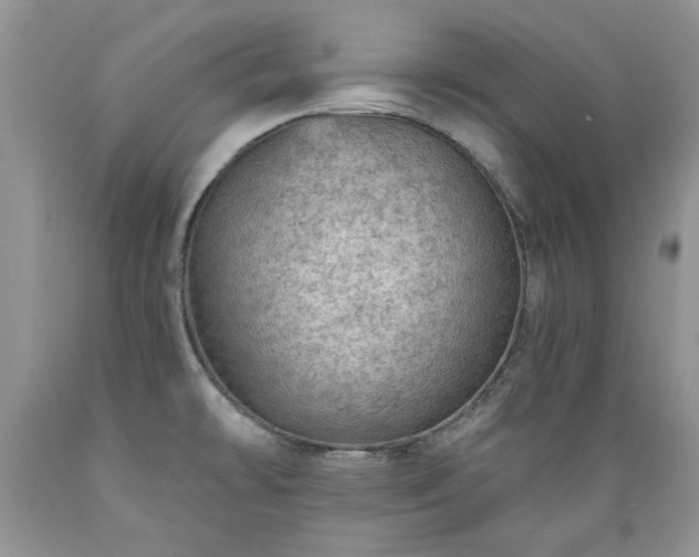 X0000089381478200706221242