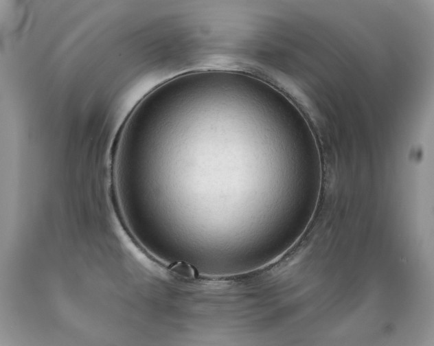 X0000089381479200706221242