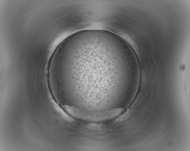 X0000089381480200706221242