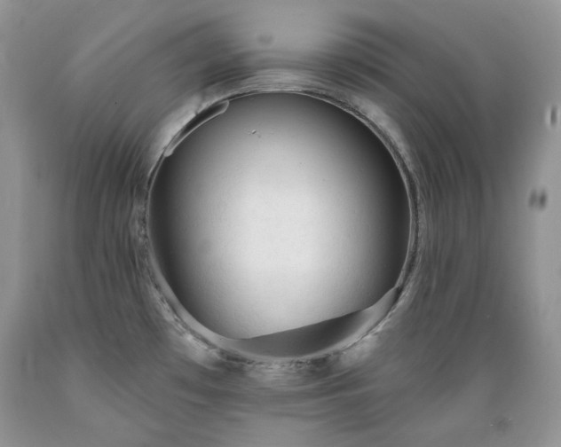 X0000089381481200706221242