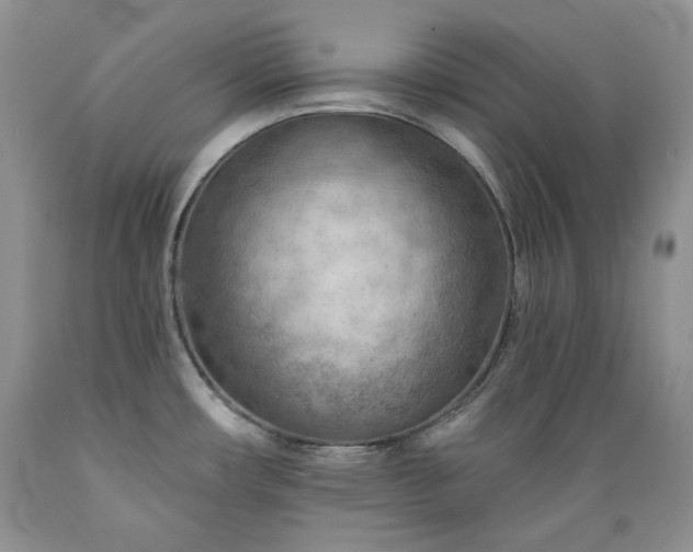 X0000089381482200706221242