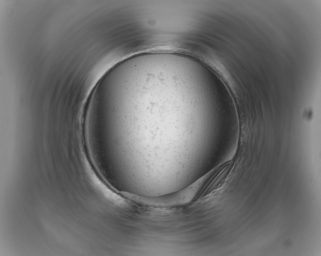 X0000089381483200706221242