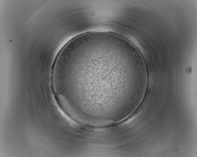 X0000089381484200706221242