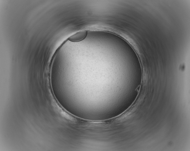 X0000089381486200706221242