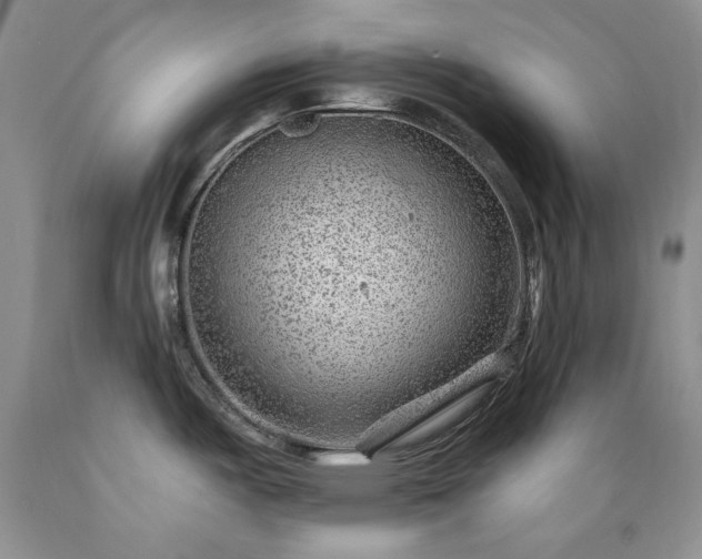 X0000089381487200706221242