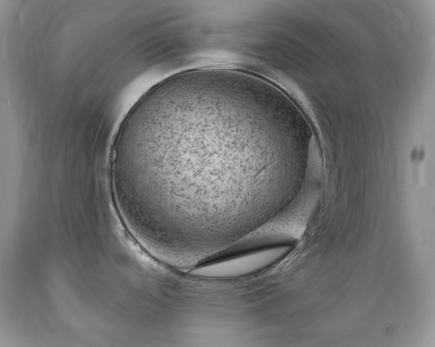 X0000089381488200706221242