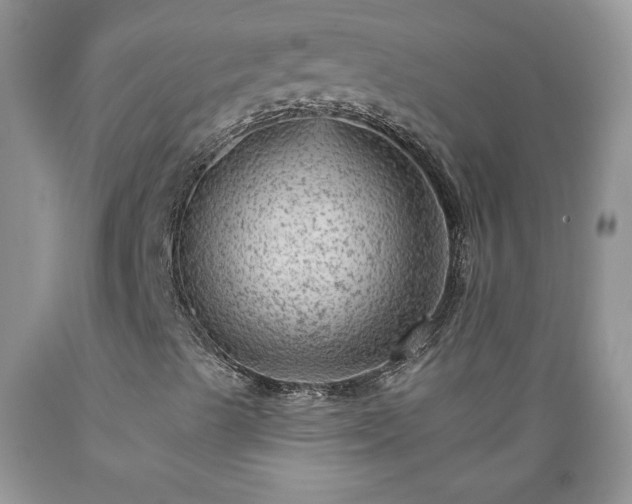 X0000089381489200706221241