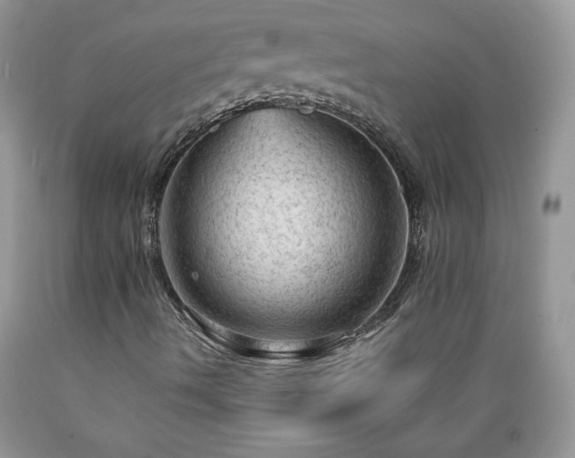 X0000089381490200706221241
