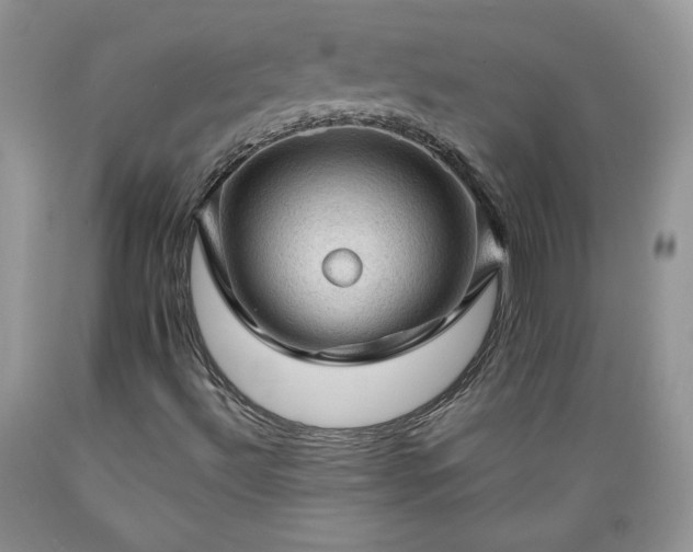 X0000089381492200706221241