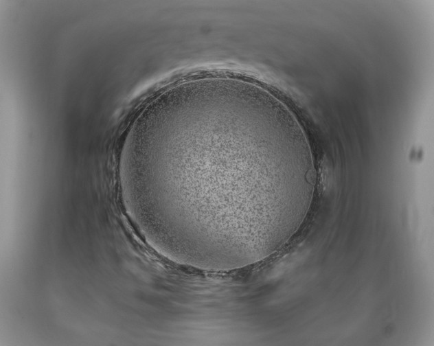X0000089381494200706221241