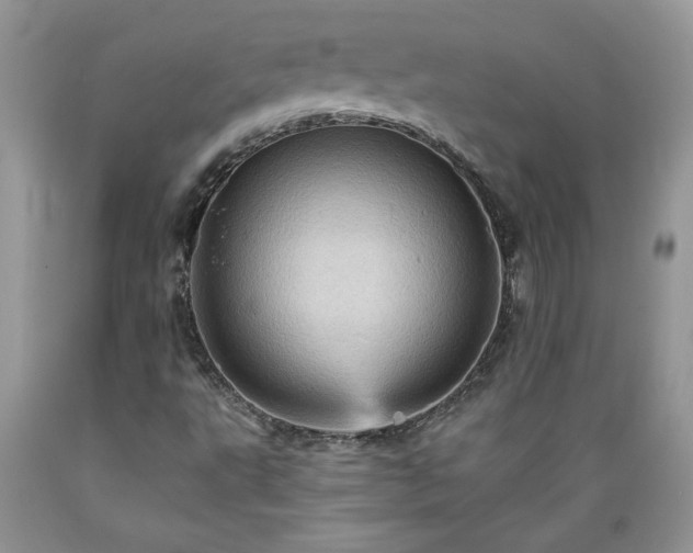X0000089381495200706221241