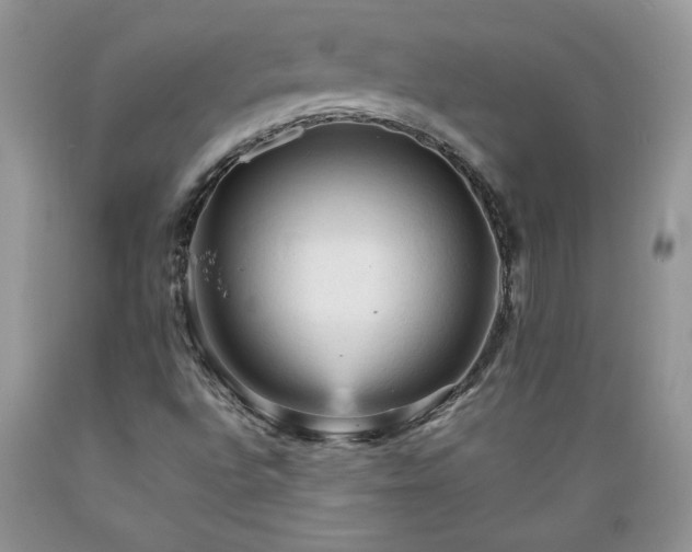 X0000089381496200706221241