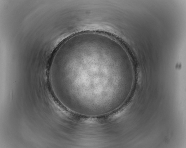 X0000089381497200706221241
