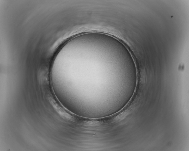 X0000089381499200706221241