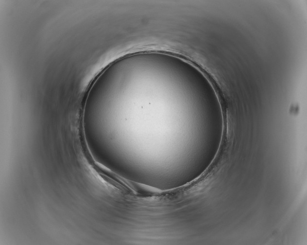 X0000089381500200706221241