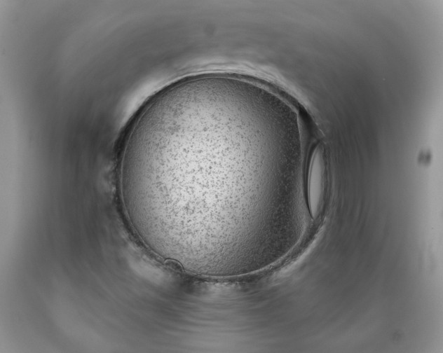 X0000089381501200706221242