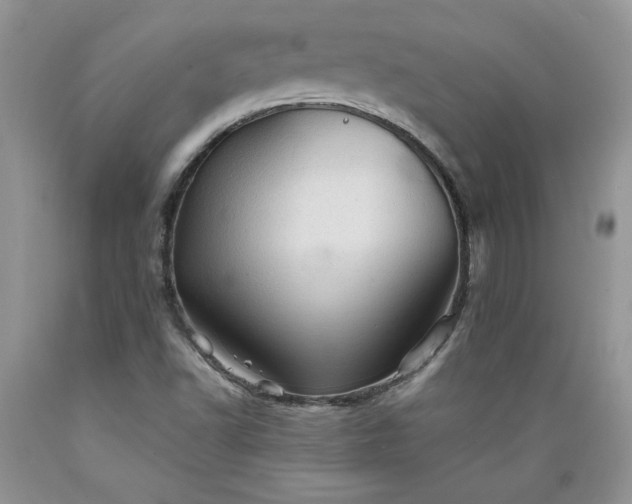 X0000089381502200706221242