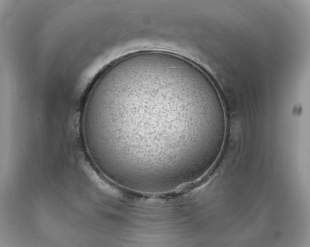 X0000089381503200706221242