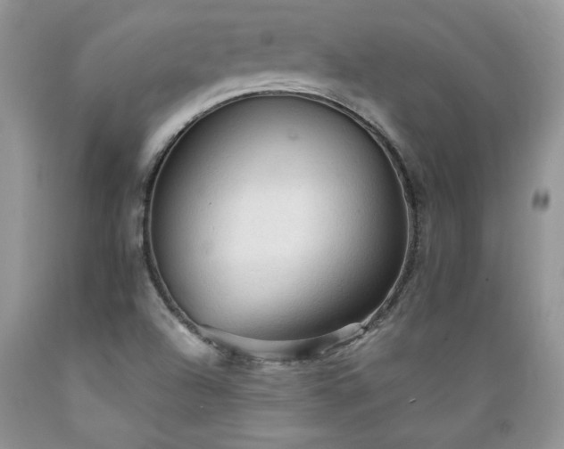 X0000089381504200706221242