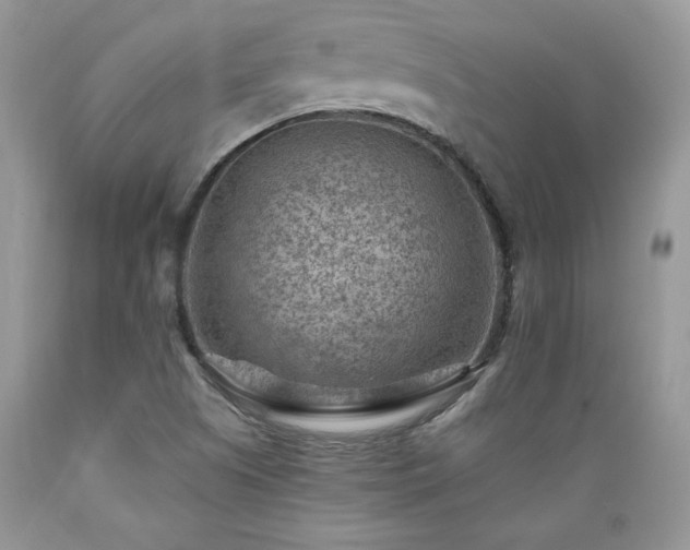 X0000089381505200706221242