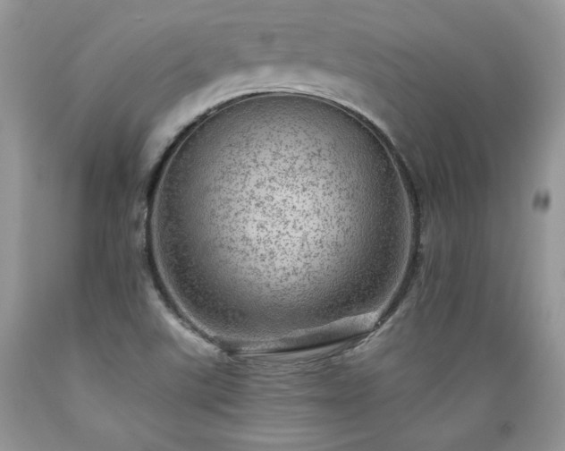 X0000089381507200706221242