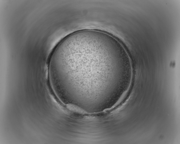 X0000089381509200706221242