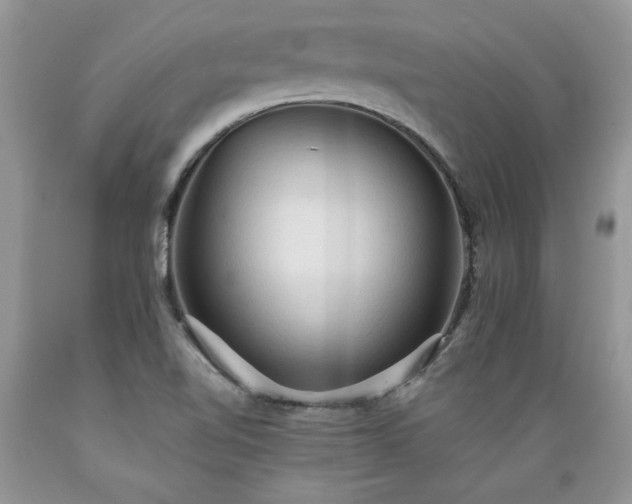 X0000089381510200706221242
